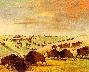 George Catlin Buffalo Bulls Fighting in Running Season-Upper Missouri oil painting on canvas